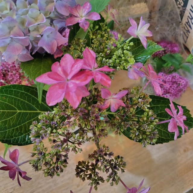 BEAT CAFEあやらぎに飾られた紫陽花（公式Instagramより）