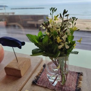 海が見えるBEAT CAFEあやらぎの窓辺の席（公式Instagramより）