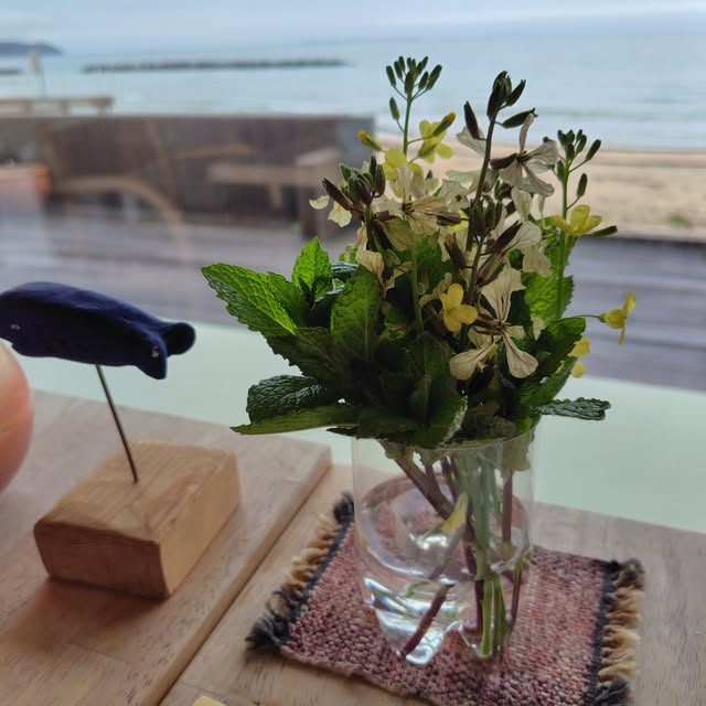 海が見えるBEAT CAFEあやらぎの窓辺の席（公式Instagramより）