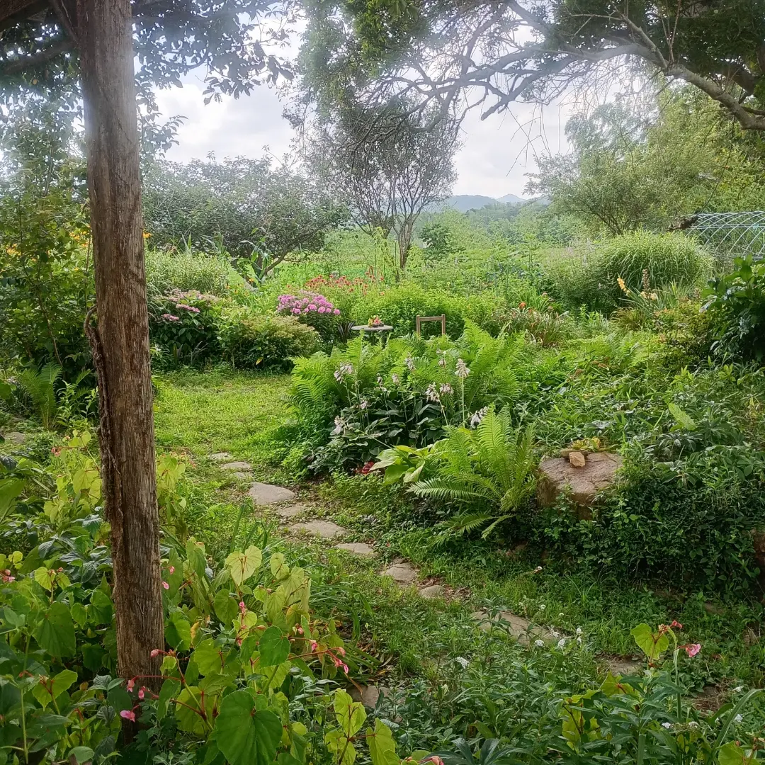 シダや宿根草が茂る庭に石畳の小道が続き、奥にはピンクや黄色の花と山並みが見えるガーデンカフェカモミールの庭(カモミール公式Instagramより)