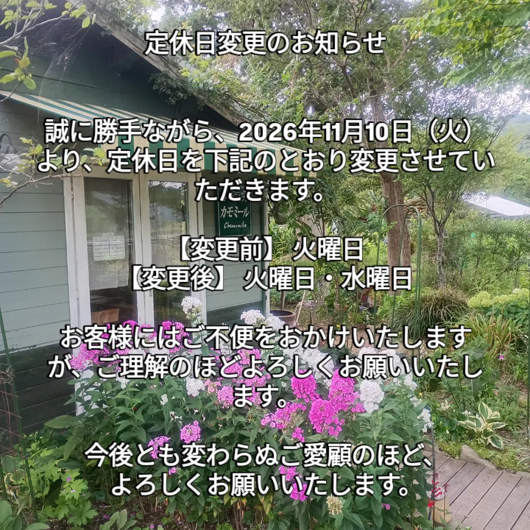「定休日変更のお知らせ」と書かれた告知画像。背景は淡いグリーンの建物と「カモミール Chamomile」の看板、手前にピンクの花が咲くガーデンカフェカモミールの外観(カモミール公式Instagramより)