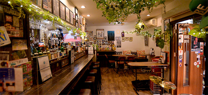 たびかぜ TABIKAZEの店内。カウンターとグリーンに囲まれたテーブル席