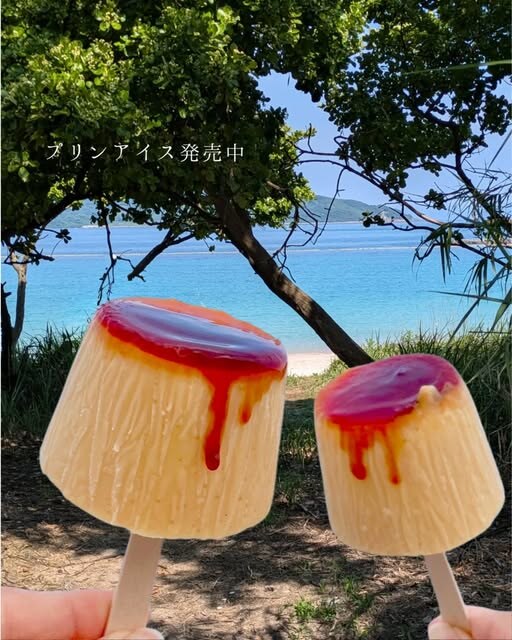 角島プリンのプリンアイス、海辺の木陰で撮影されたテイクアウトの様子(公式Instagramより)