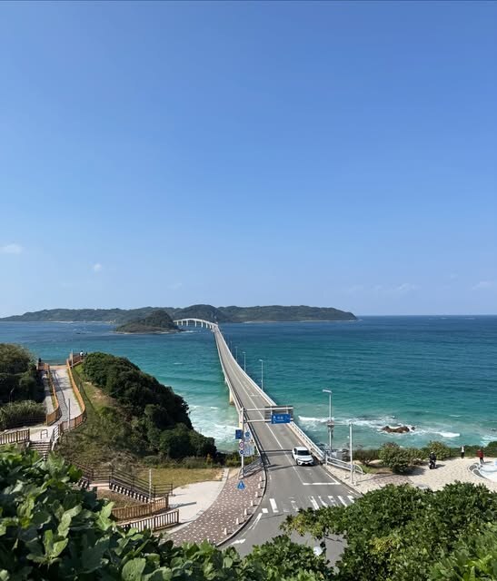 角島プリン付近の展望台から見た角島大橋と青い海(公式Instagramより)
