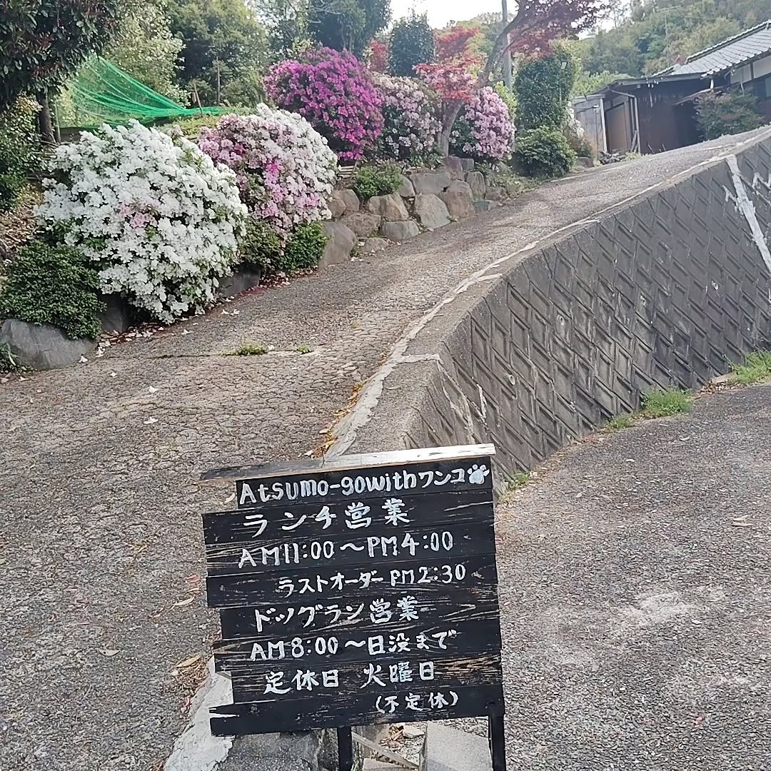 ツツジが咲く坂道と営業案内の看板(公式Instagramより)