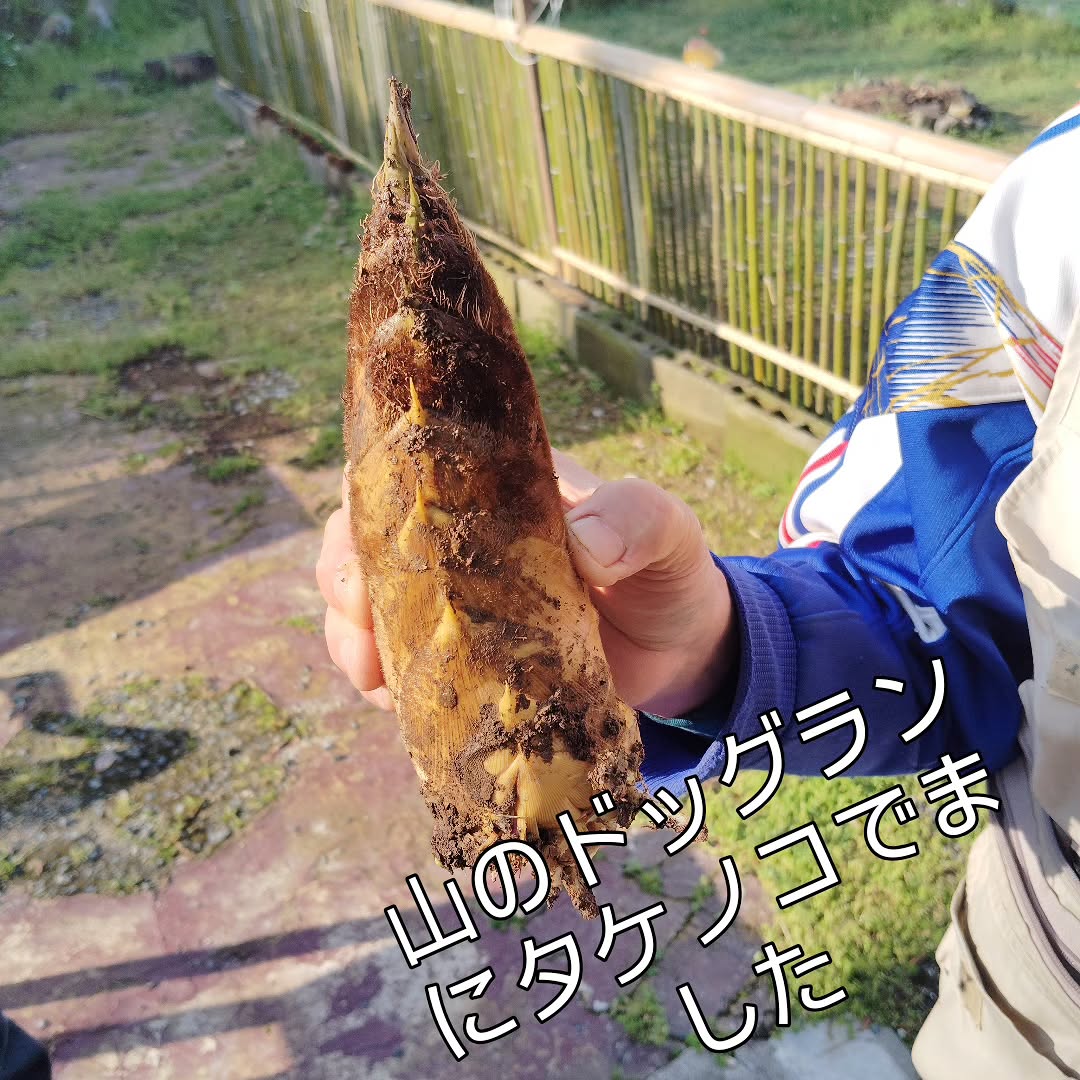 山のドッグランでのタケノコ(公式Instagramより)