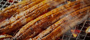 炭火で焼き上げられるうなぎ（炭焼うなぎ ふく田・公式サイトより）