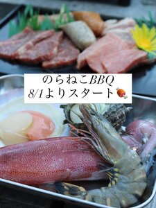 のらねこBBQの黒毛和牛と海鮮の盛り合わせ（公式Instagramより）