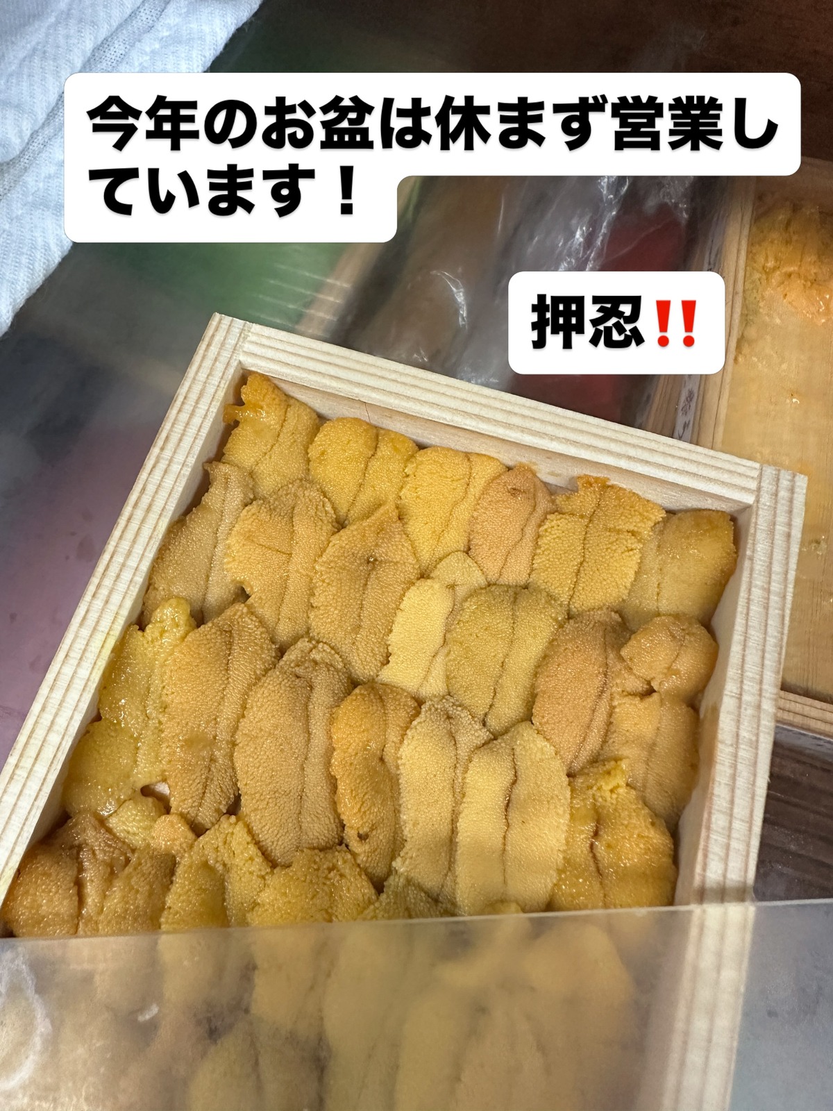 木箱に並んだ雲丹（離れ 竜胆・公式Instagramより）